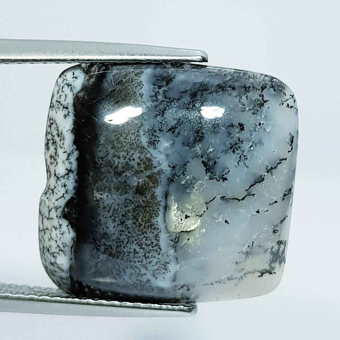 Natural Dendrite Opal Octagon Cabochon 13.27 Ct (1 of 5)