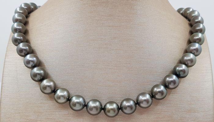 10x11mm Round Aubergine Tahitian Pearls - 14 kt. Yellow: Title: 10x11mm Round Aubergine Tahitian Pearls - 14 kt. Yellow gold - Necklace Description: A luxury pearl necklace, made with round Tahitian pearls, and completed with an elegant clasp in yellow gold