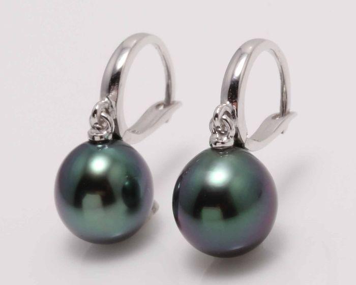 14 kt. White Gold - 9x10mm Tahitian Pearl Drops -: Title: 14 kt. White Gold - 9x10mm Tahitian Pearl Drops - Earrings Description: Emerging from the tropical lagoons of French Polynesia, these Tahitian pearls have been hand selected for their natural b