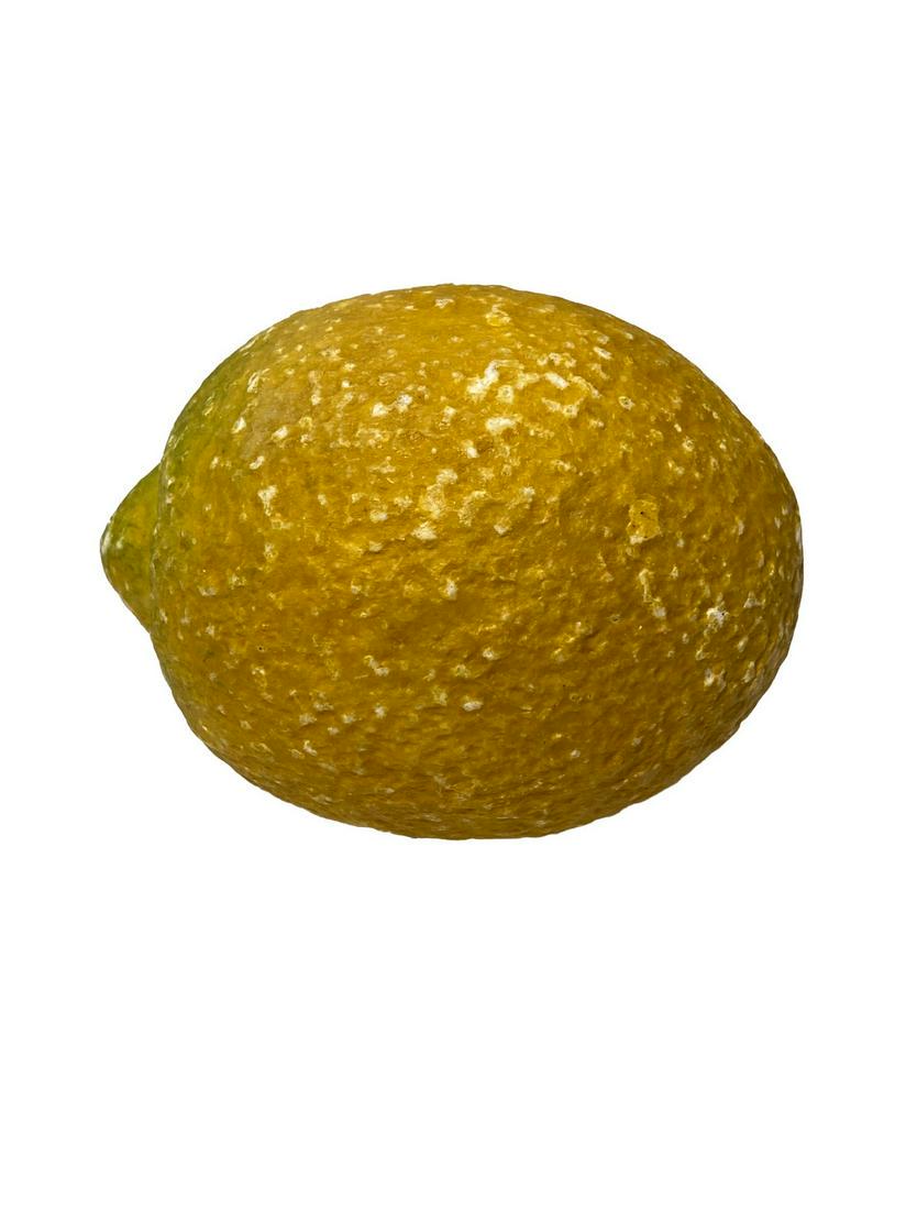 Stone Lemon: Title: Stone Lemon Dimensions: 2 1/2" Provenance/Additional Info: A very realistic looking " stone fruit". Shipping: Domestic: Flat-rate of $15.00 to anywhere within the contiguous U.S. International: