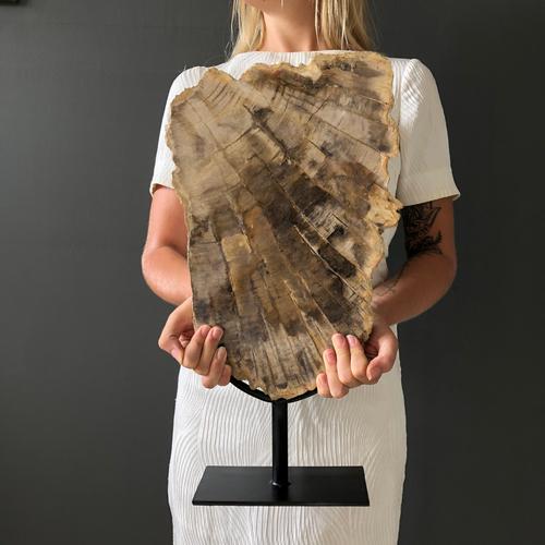 Large Petrified Wood Slice on Stand: Title: Authentic Hand-carved Antique Grey Buffalo skull - Traditional Balinese motif Maker: Unknown Origin: Indonesia Date/Period: 2019 Materials: Bone Dimensions:H: 90cm / 35.4 inches W: 84cm / 31.5