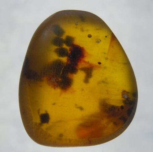 100 MILL YEARS OLD BURMITE AMBER: Title: 100 MILL YEARS OLD BURMITE AMBER Origin: Hukawang Valley, Kachin State, Myanmar Size: 1.2x1.1x0.7 cm / 0.65 gram Additional Information: honey yellow burmite amber with unidentified inclusions 