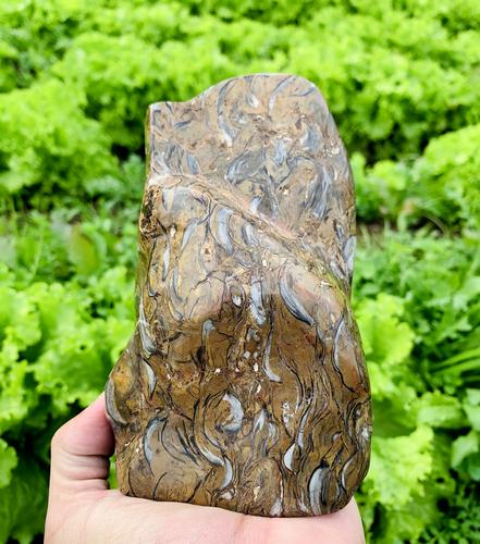 1243 Gram Top Quality Natural Jasper Tumble Healing: Title: 1243 Gram Top Quality Natural Jasper Tumble Healing Mineral Treatment: Natural Weight: 1243 Gram Size/Dimensions: 147x85x65 mm Origin: Afghanistan Reserve: $130.00 Shipping: Domestic: Flat-rate
