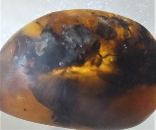 100 MILL YEARS OLD BURMITE AMBER: Title: 100 MILL YEARS OLD BURMITE AMBER Origin: Hukawang Valley, Kachin State, Myanmar Size: 2.2x1.4x0.8 cm / 1.91 gram Additional Information: translucent burmite amber with some big, unknown inclusi