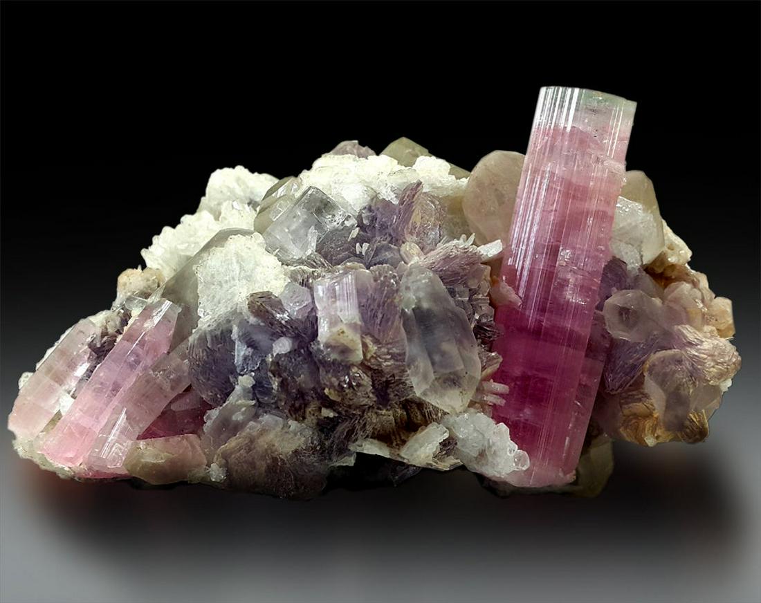 Tourmaline Crystal with Goshenite Beryl , Quartz ,: Materials: tourmaline, quartz, goshenite, lepidolite, albite Description Tourmaline Crystal with Goshenite Beryl , Quartz , Lepidolite , Albite Combo Specimen , Collector's Choice Mineral specimen con