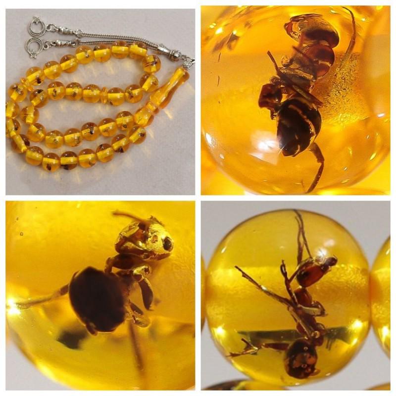 Baltic amber rosary insects inclusion imam mala spider (1 of 20)