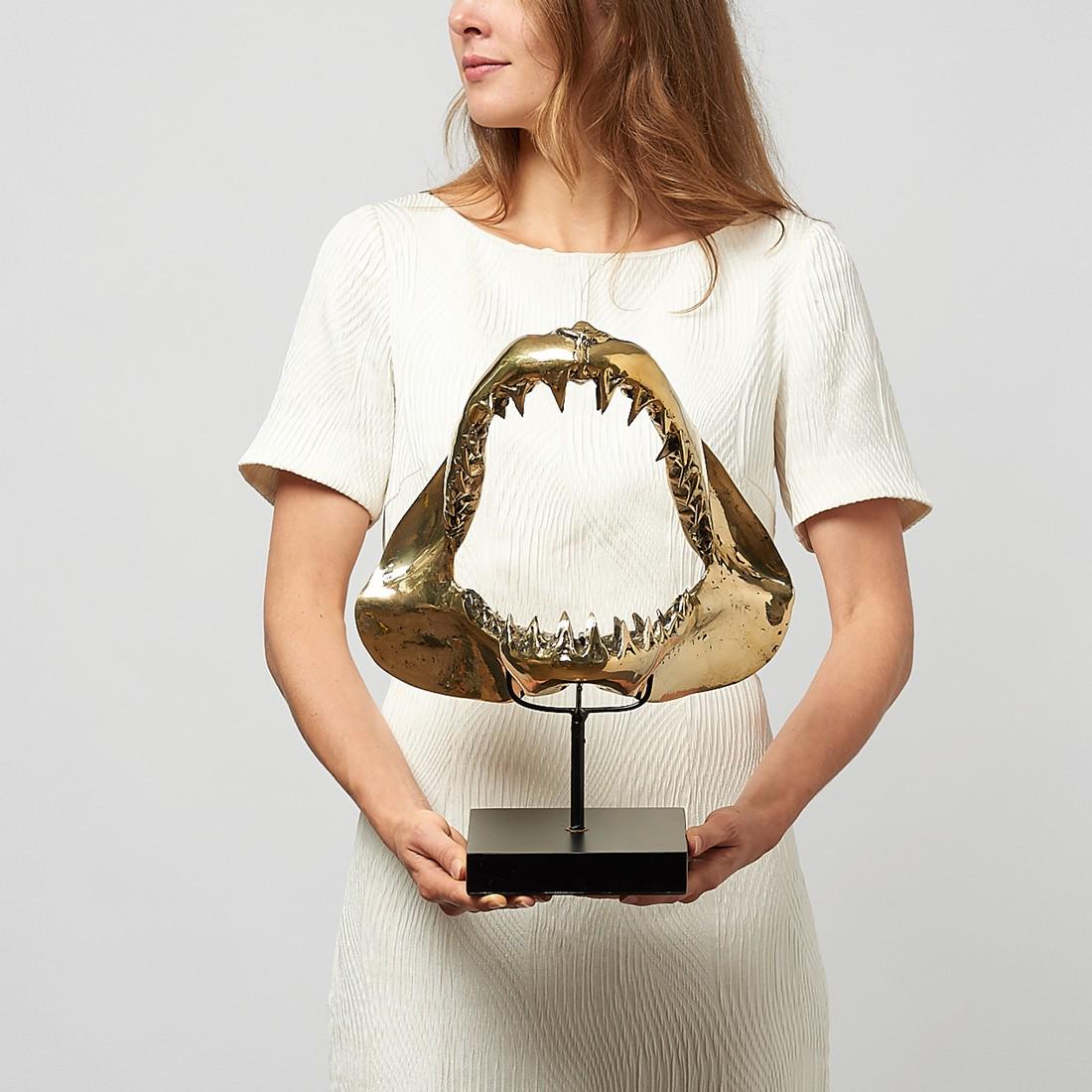 Finest detail, bronze-cast Mako Shark Jaws - Isurus: Title: Finest detail, bronze-cast Mako Shark Jaws - Isurus oxyrinchus Maker: Jake Richmond Origin: Indonesia Date/Period: 2017 Materials: Bronze Dimensions:Height 35 cm, 13.8 inches. Width: 31 cm, 12.