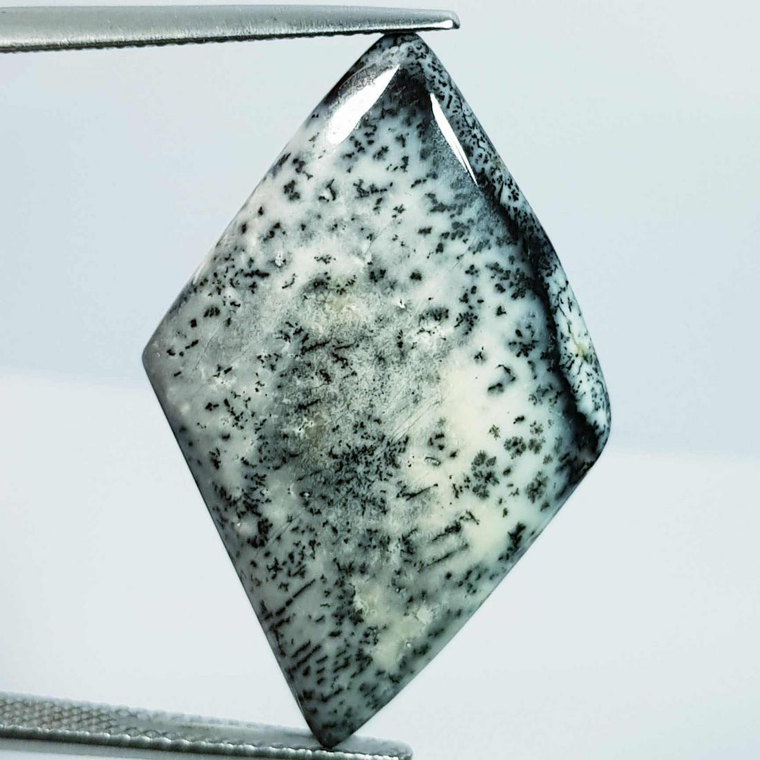 19.40 Ct Natural Dendrite Opal Fancy Cabochon (1 of 5)