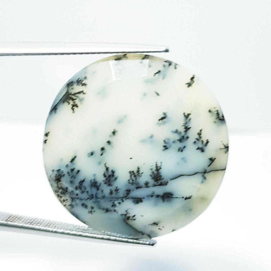 Natural Dendrite Opal Oval Cabochon 43.62 Ct (1 of 5)