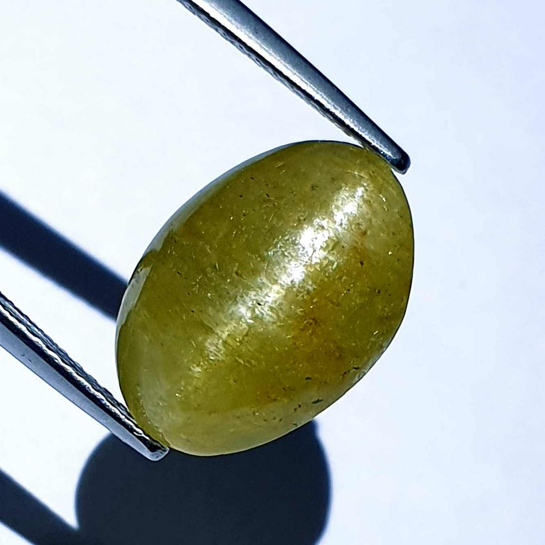 Natural Apatite cat's Eye 10.60 ct: No Reserve! Title: Natural Apatite cat's Eye 10.60 ct Color clarity:Opaque Gemstones: Loosegemstone Carat weights: 10.6 Size/Dimensions: 14.90 x 10.40 x 8.30 Additional Info:Oval - Srilanka Shipping: 