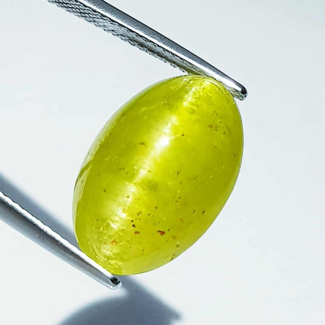 Natural Apatite cat's Eye 18.87 ct: No Reserve! Title: Natural Apatite cat's Eye 18.87 ct Color clarity:Opaque Gemstones: Loosegemstone Carat weights: 18.87 Size/Dimensions: 17.70 x 11.70 x 11.20 Additional Info:Oval - Srilanka Shipping