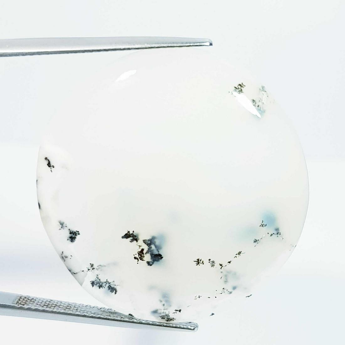 39.58 Ct Natural Dendrite Opal Round Cabochon (1 of 5)