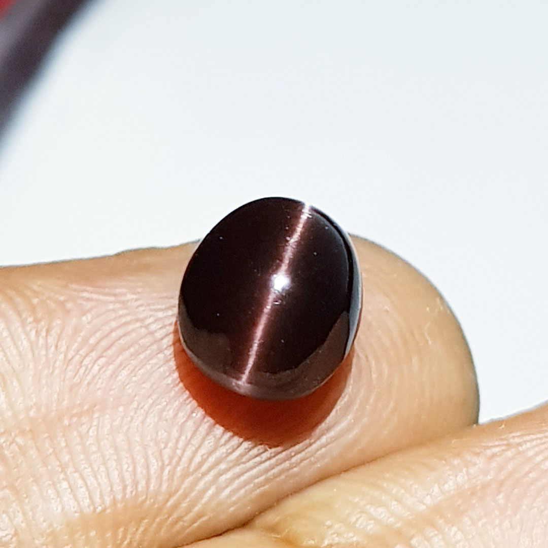 Natural Scapolite Cat's Eye 3.09 ct: No Reserve! Title: Natural Scapolite Cat's Eye 3.09 ct Color clarity:Opaque Gemstones: Loosegemstone Carat weights: 3.09 Size/Dimensions: 9.00 x 7.30 x 6.30 Additional Info:Oval - Africa Shipping: Dom