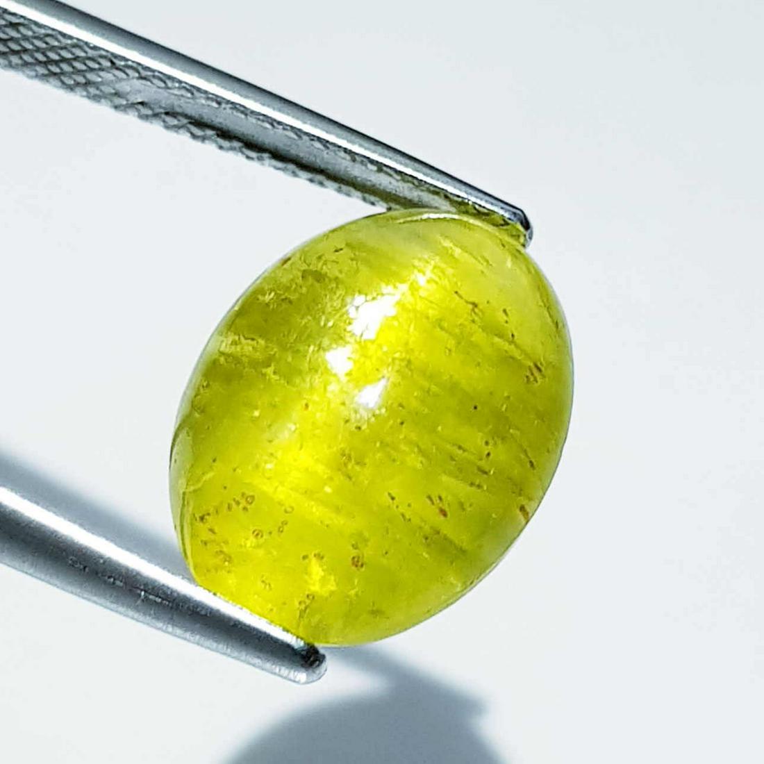 Natural Apatite cat's Eye 9.98 ct: No Reserve! Title: Natural Apatite cat's Eye 9.98 ct Color clarity:Opaque Gemstones: Loosegemstone Carat weights: 9.98 Size/Dimensions: 14.10 x 11.00 x 7.50 Additional Info:Oval - Srilanka Shipping: D