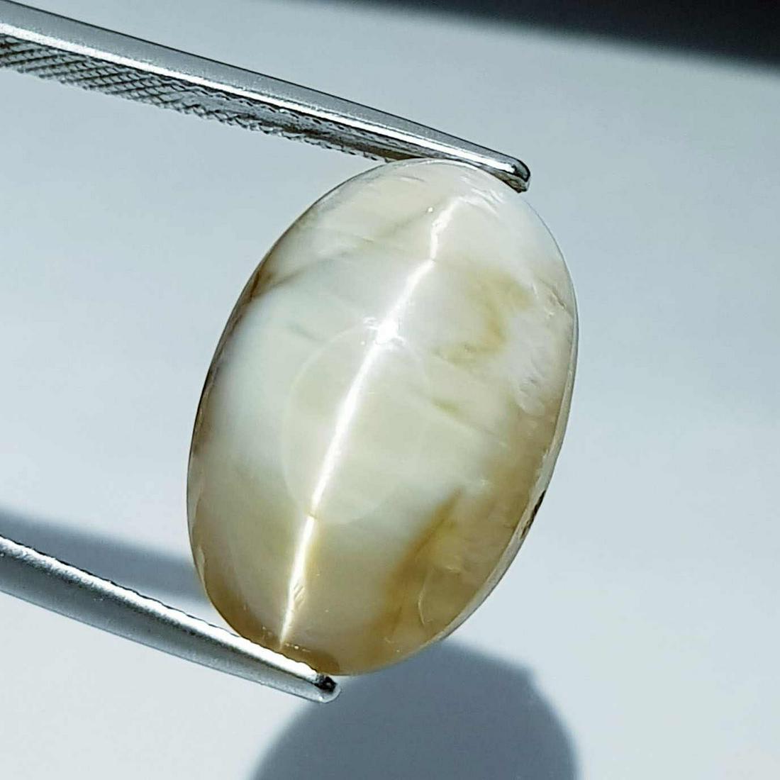 17.02 ct Natural Opal Cat's Eye: No Reserve! Title: 17.02 ct Natural Opal Cat's Eye Color clarity:Semi Transparent Gemstones: Loosegemstone Carat weights: 17.02 Size/Dimensions: 18.40 x 12.40 x 11.80 Additional Info:Oval - Africa Shi