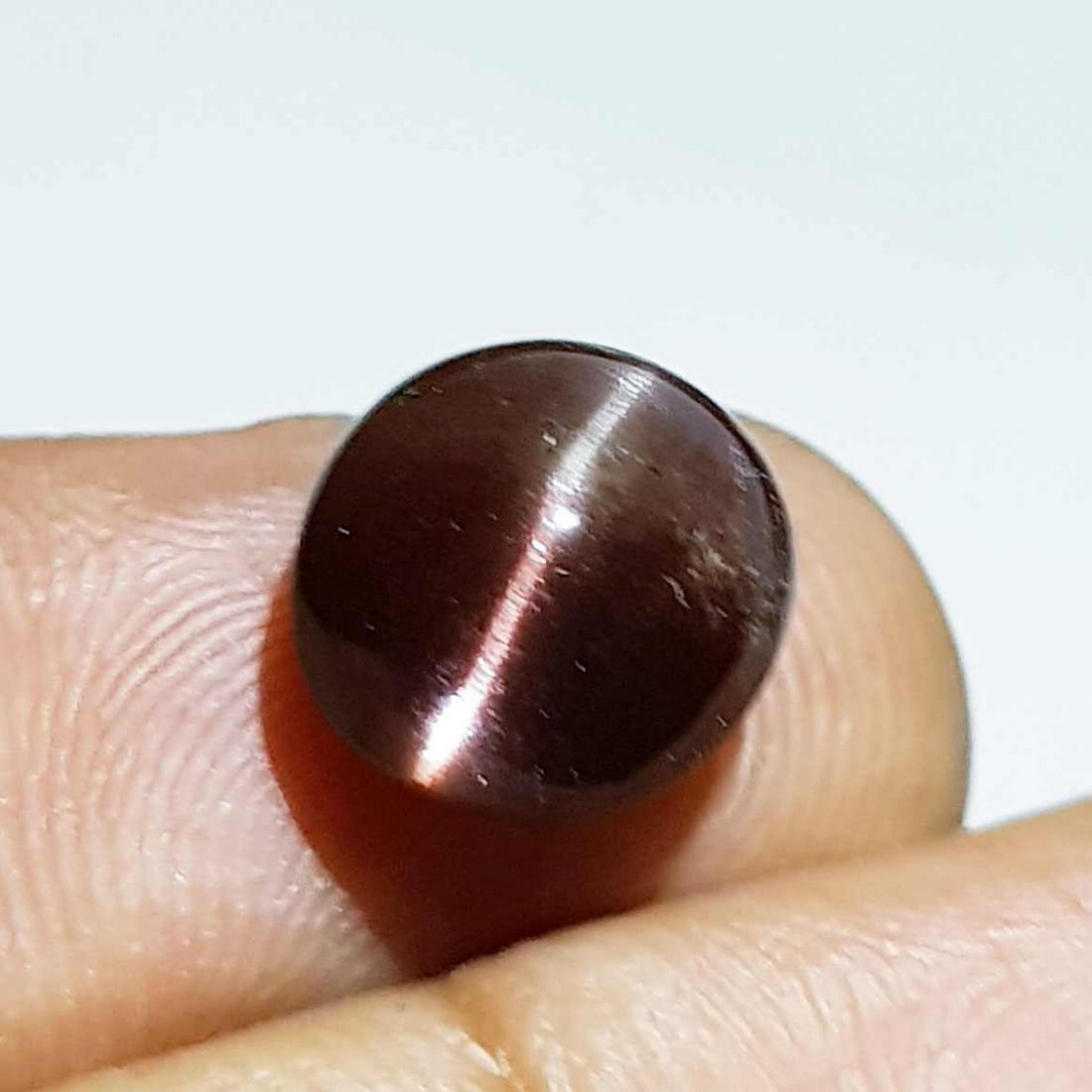 Natural Scapolite Cat's Eye 4.62 ct: No Reserve! Title: Natural Scapolite Cat's Eye 4.62 ct Color clarity:Opaque Gemstones: Loosegemstone Carat weights: 4.62 Size/Dimensions: 13.40 x 9.80 x 6.30 Additional Info:Oval - Africa Shipping: Do