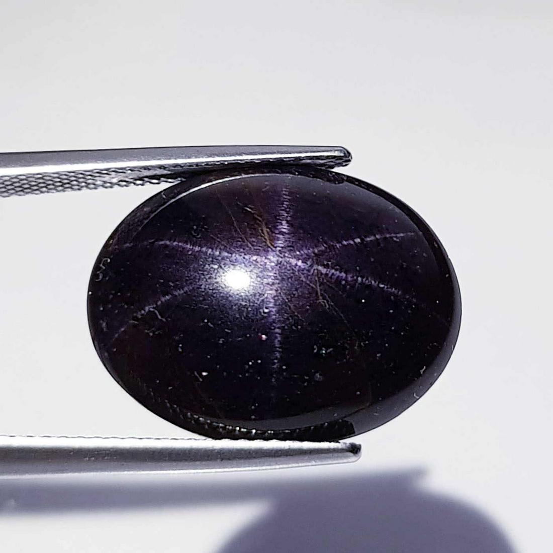 32.77 ct Natural Six Ray Star Garnet (1 of 4)