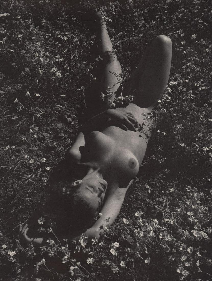 ANDRE DE DIENES - Nude amid Wildflowers: Artist: ANDRE DE DIENES Print Title: Nude amid Wildflowers Medium: photoengraving Printed 1960’s in the USA Image size (inches) approx. 10 x 8” Andre De Dienes Dienes was a professional photograph