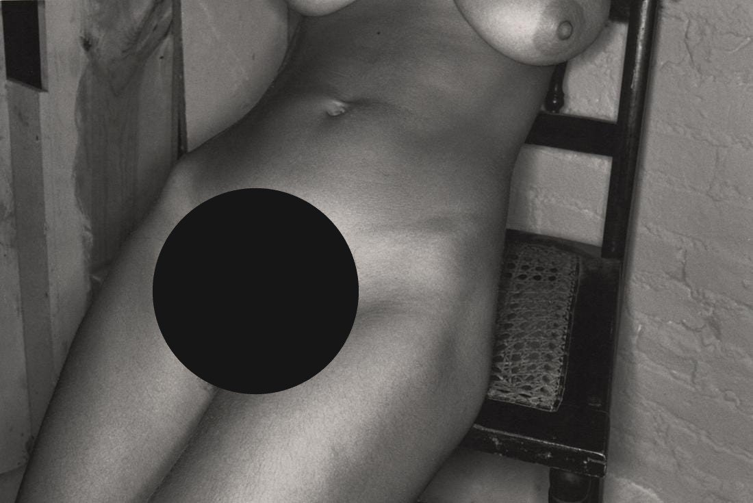 LEE FRIEDLANDER - Nude: Artist: LEE FRIEDLANDER Print Title: Nude Medium: Duotone Photoengraving Printed 1990’s in the US Image size (inches) approx. 7 x 10” Lee Friedlander is an American photographer and artist. In the