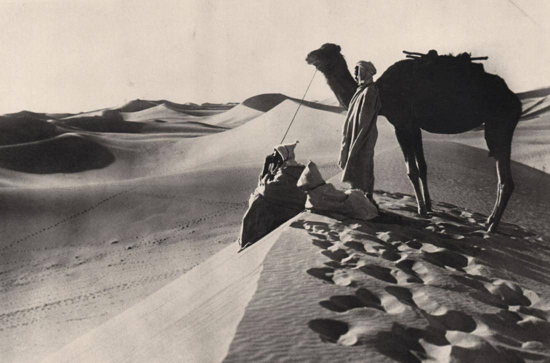 LEHNERT & LANDROCK - Desert Scene c1905 (Tunisia or (1 of 1)