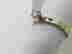 item-98449648=5