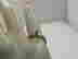 item-98449648=9