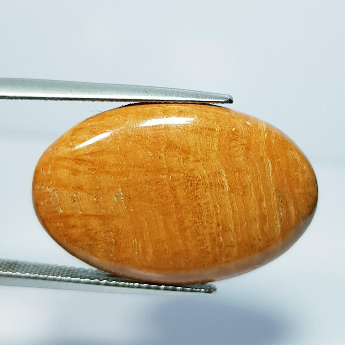21.00 ct Natural chocolate jasper: No Reserve! Title: 21.00 ct Natural chocolate jasper Color/Clarity: Opaque Carat Weight: 21 Dimensions: 27.60 x 17.80 x 5.10 Additional Information: Oval - Brazil Shipping: Domestic: Flat-rate of $7.