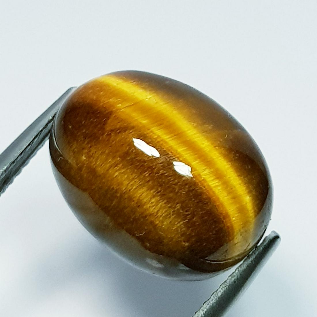 13.65 ct Natural Tiger Eye (1 of 5)