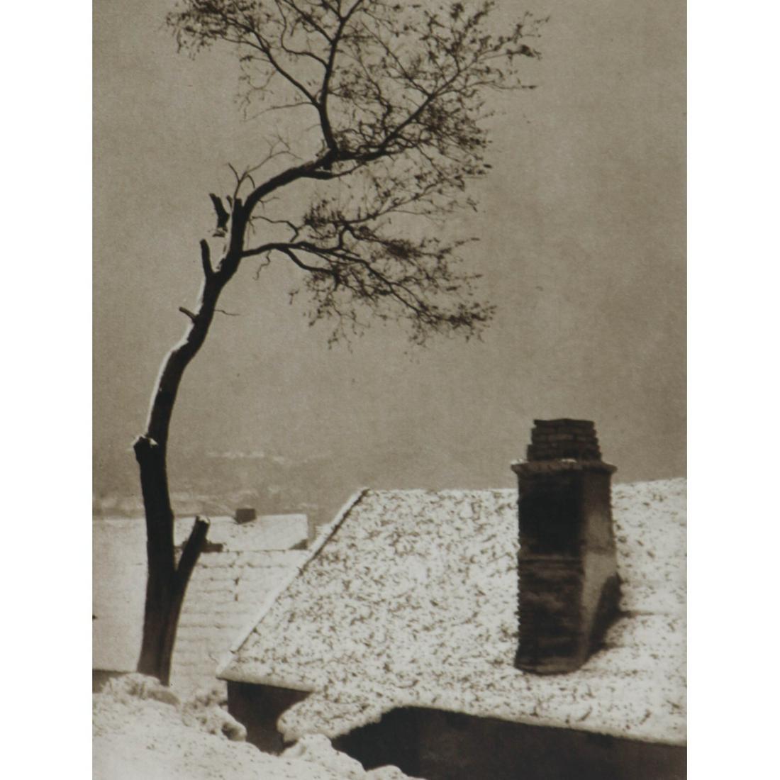 JOSEF SUDEK - Nusle periphery (1 of 1)