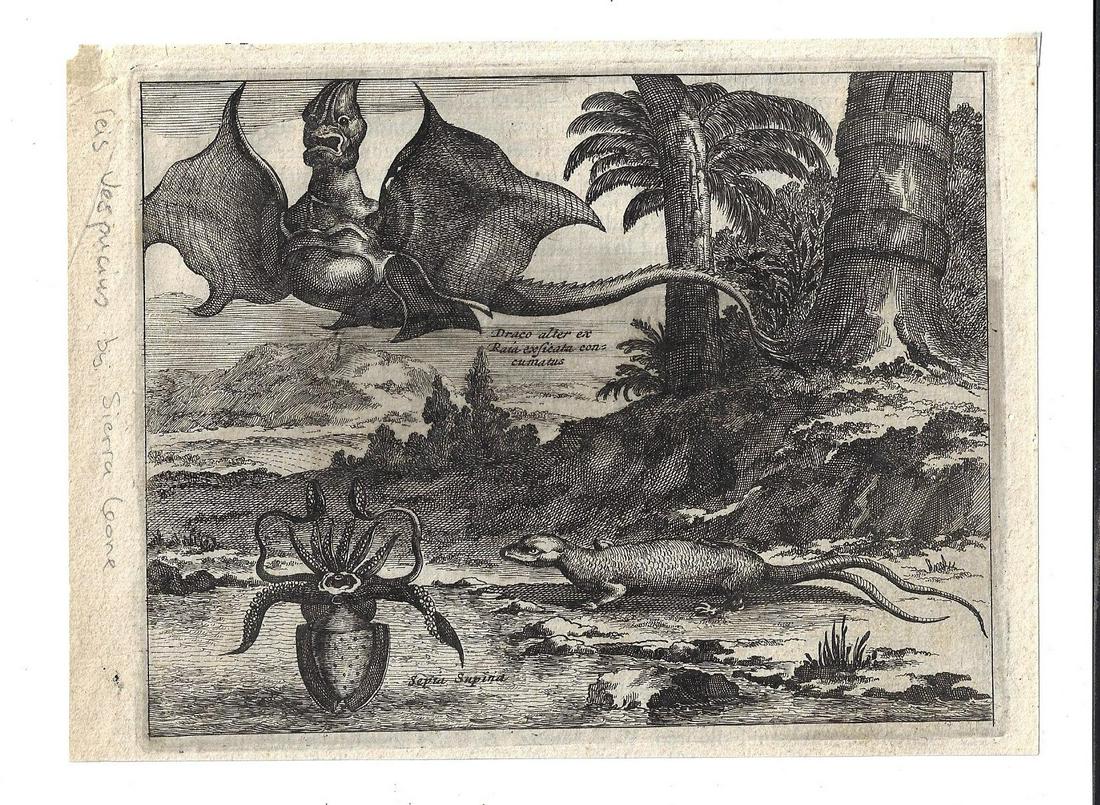 1671 Montanus Engraving of Monsters (1 of 1)