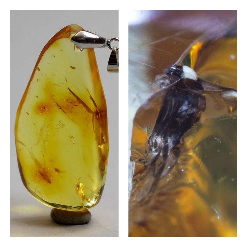 10.3 g. Natural Baltic amber pendant inclusions insect: Unique amber piece with insect (inclusion) which is 45-50 million years old. Collectible piece!. Faceted and polished Baltic amber stone. Pendant shape. Weight: 10,8 gram Inclusion: unknown Age: 45-50