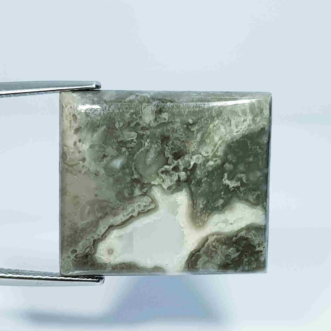 26.08 ct Natural Exotic Jasper: No Reserve! Title:26.08 ct Natural Exotic Jasper Color/Clarity: Opaque Carat Weight: 26.08 Size/Dimensions: 22.90 x 20.30 x 4.85 Additional Information: Rectangular - Brazil Shipping: Domestic: Flat-