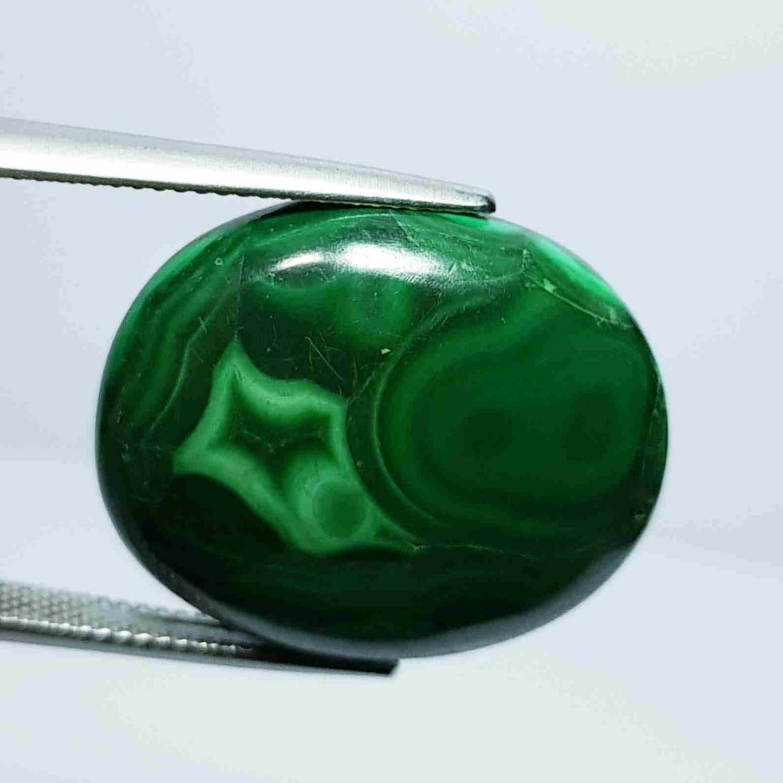 36.80 ct Natural Malachite: No Reserve! Title:36.80 ct Natural Malachite Color/Clarity: Opaque Carat Weight: 36.8 Size/Dimensions: 24.60 x 20.40 x 6.00 Additional Information: Oval - USA/Egypt Shipping: Domestic: Flat-rate of $