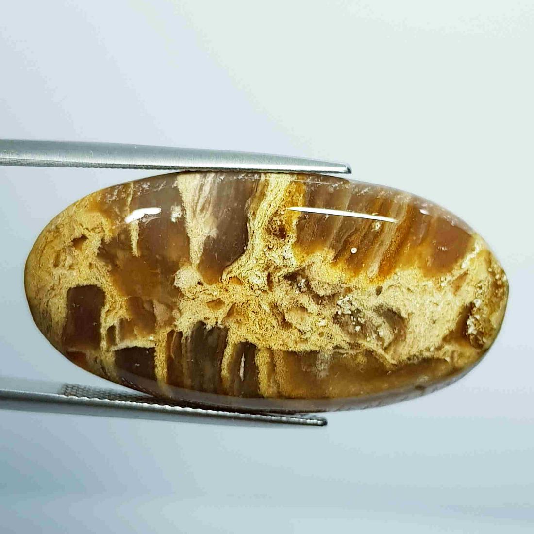 35.80 ct Natural Aragonite (1 of 5)