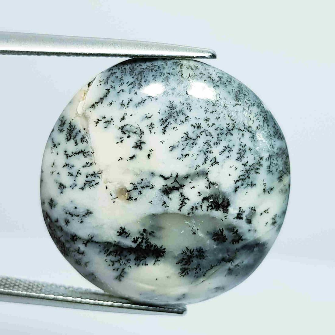 Natural Dendrite Opal Round Cabochon 22.17 Ct (1 of 5)