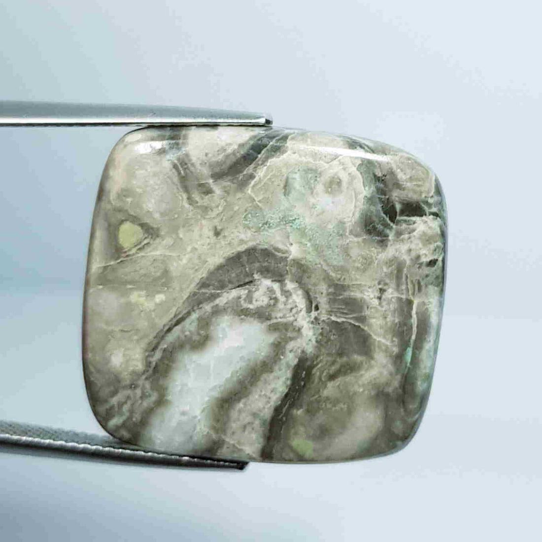 35.48 ct Natural Exotic Jasper: No Reserve! Title:35.48 ct Natural Exotic Jasper Color/Clarity: Opaque Carat Weight: 35.48 Size/Dimensions: 25.90 x 24.40 x 5.15 Additional Information: Rectangular - Brazil Shipping: Domestic: Flat-