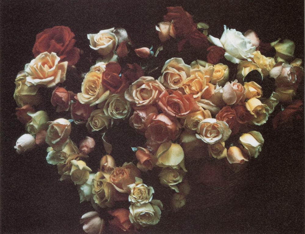 MARIE COSINDAS - Roses, Mexico, 1966: Artist: Marie Cosindas Title: Roses, Mexico, 1966 Medium: Photo Litho, 1988, Japan Dimensions: 8.9x6.85" Description: Heat Wax Mounted on 8.5x11" Conservation Board Artist Bio: Marie Cosindas (1923 -