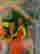 item-99492200=5