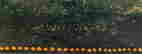 item-99492200=6