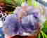 item-99498163=3