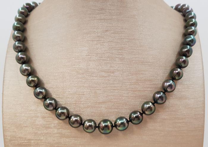 8.2x10mm Shimmering Peacock Tahitian Pearls - 14 kt.: Title: 8.2x10mm Shimmering Peacock Tahitian Pearls - 14 kt. White gold - Necklace Description: A beautiful pearl necklace, with peacock green Tahitian pearls that will create a chic and sophisticated 
