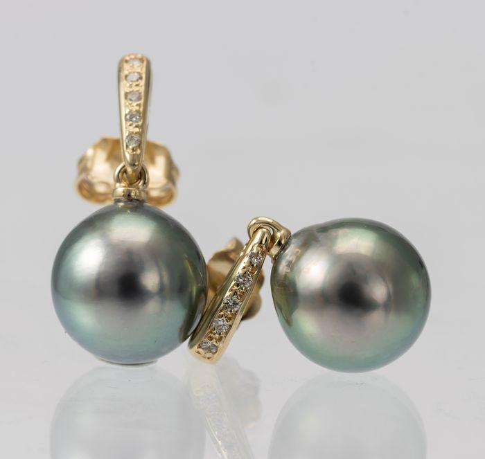 10x11mm Peacock Tahitian Pearl Drops - 14 kt. Yellow: Title: 10x11mm Peacock Tahitian Pearl Drops - 14 kt. Yellow gold - Earrings - 0.08 ct Description: Classic Elegance ! Produced by the Pinctada Margaritifera Oyster in the tropical lagoons of French Po