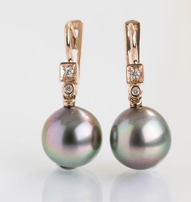 14 kt. Rose Gold - 10x11mm Peacock Tahitian Pearl Drops: Title: 14 kt. Rose Gold - 10x11mm Peacock Tahitian Pearl Drops - Earrings - 0.07 ct Description: Produced by the Pinctada Margaritifera oyster in the tropical lagoons of French Polynesia, these pearls