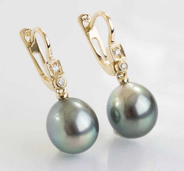 14 kt. Yellow Gold - 10x11mm Peacock Tahitian Pearl: Title: 14 kt. Yellow Gold - 10x11mm Peacock Tahitian Pearl Drops - Earrings - 0.07 ct Description: Produced by the Pinctada Margaritifera oyster in the tropical lagoons of French Polynesia, these pear