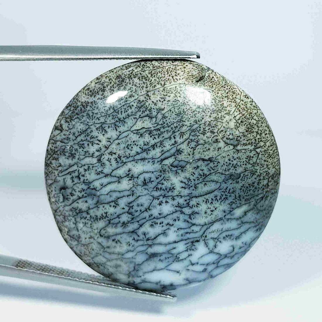 28.96 Ct Natural Dendrite Opal Round Cabochon (1 of 5)