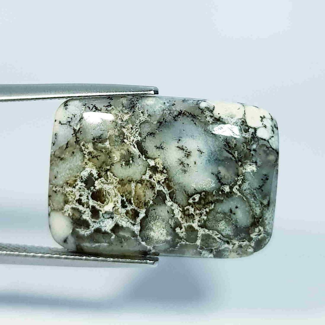 17.40 Ct Natural Dendrite Opal Rectangular Cabochon (1 of 5)