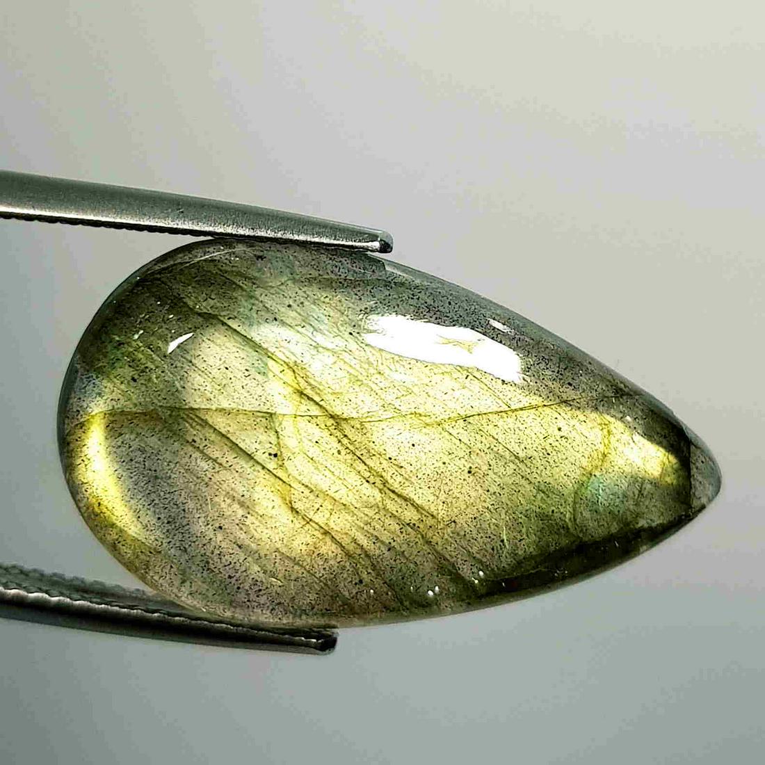 15.58 ct Natural Labradorite: No Reserve! Title: 15.58 ct Natural Labradorite Color/Clarity: Opaque Gemstones: Gemstones Carat Weights: 15.58 Size/Dimensions: 26.55 x 15.35 x 4.90 Additional Information: Pear - USA Shipping: Dome