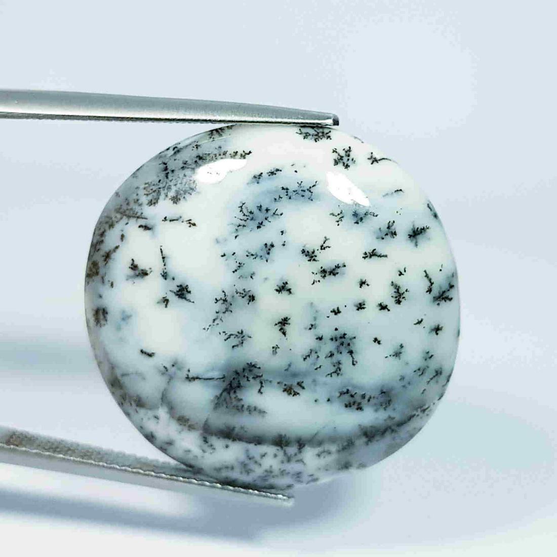 28.54 Ct Natural Dendrite Opal Round Cabochon (1 of 5)
