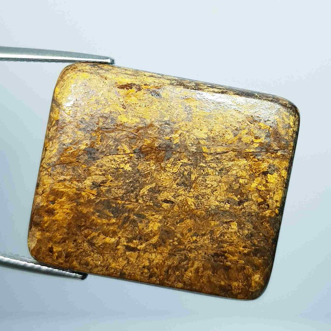 56.76 ct Natural Bronzite (1 of 5)