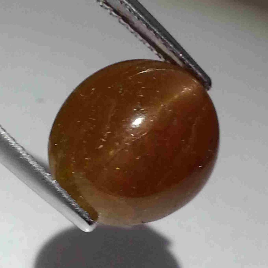 9.59 ct Natural Apatite cat's Eye: No Reserve! Title: 9.59 ct Natural Apatite cat's Eye Color/Clarity: Semi Transparent Gemstones: Loosegemstone Carat Weights: 9.59 Size/Dimensions: 13.40 x 11.80 x 7.00 Additional Information: Oval - A